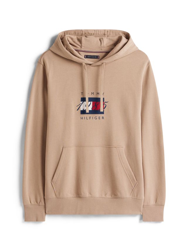 Linear Flag Graphic Hoodie Afe Coastal Tau