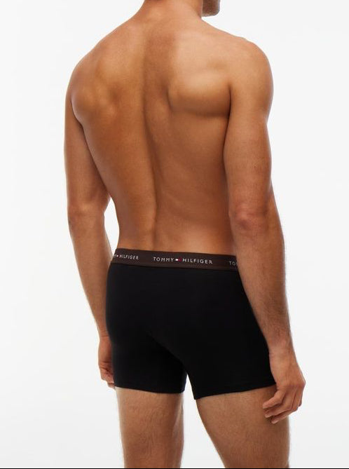 Tommy Hilfiger 3P BOXER BRIEF WB Green/Beige/Brown