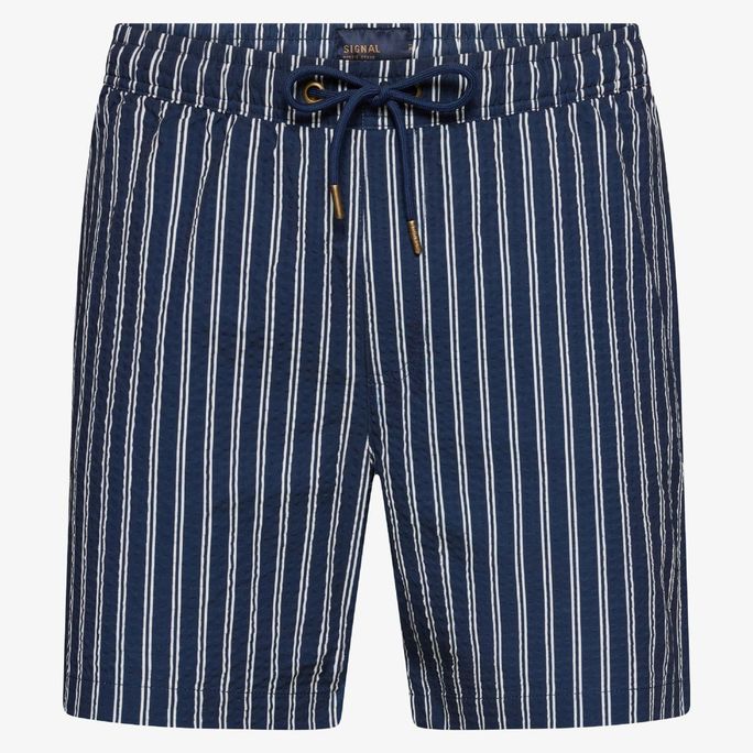 Signal Swim Shorts Blue Captain