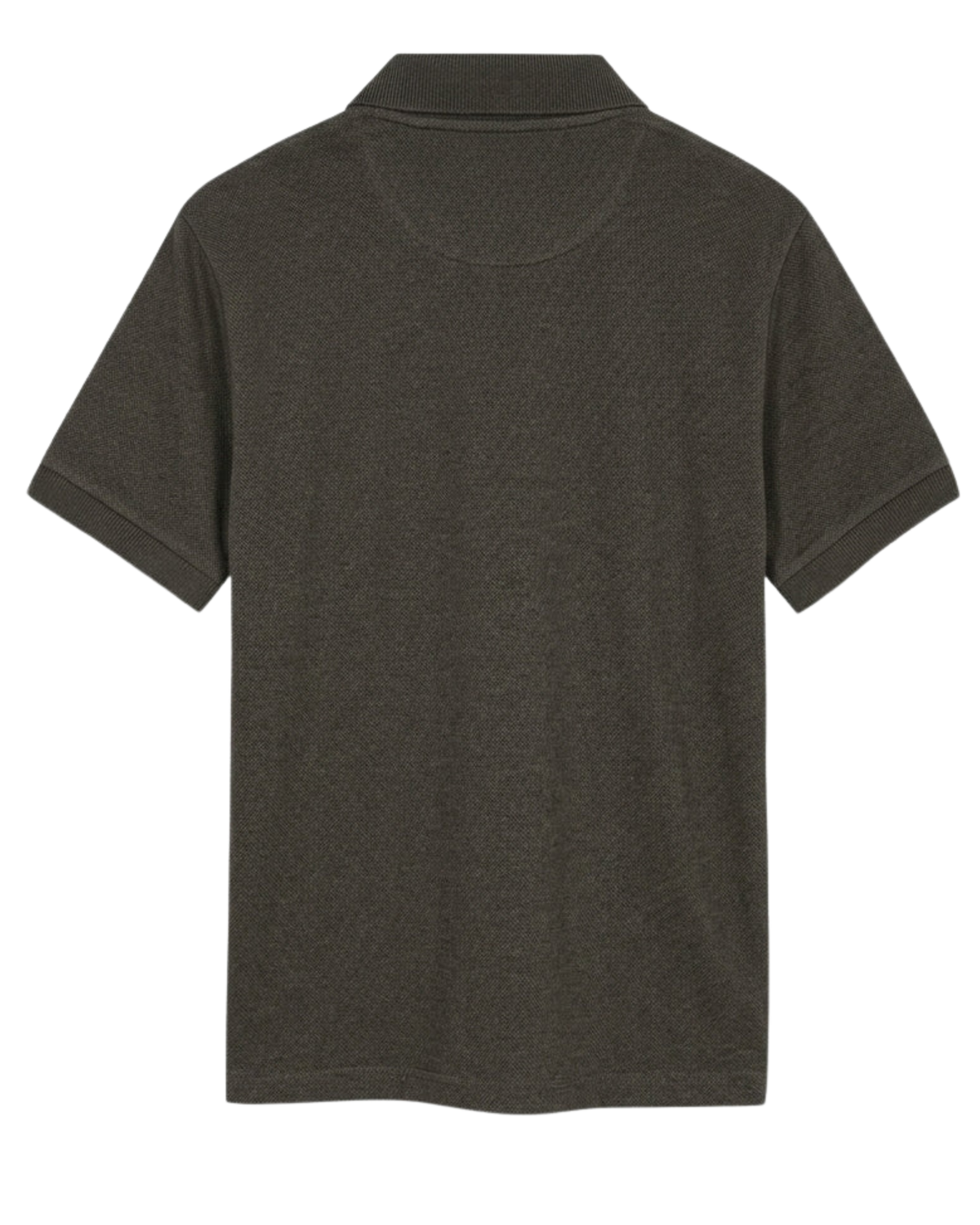 Signal NickySi Polo + Brown